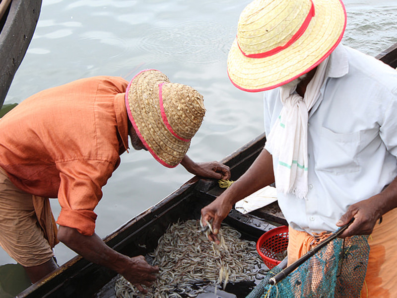 水產(chǎn)養(yǎng)殖檢測(cè)水質(zhì)的重要性