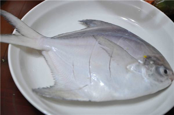 氯霉素檢測儀分析氯霉素對淡水白鯧的危害