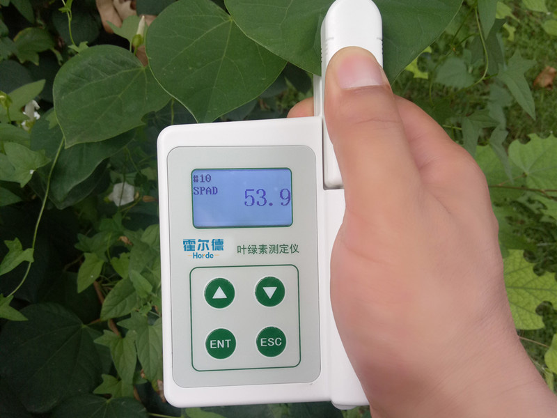 葉綠素含量測(cè)定儀，即時(shí)測(cè)量植物的綠色程度